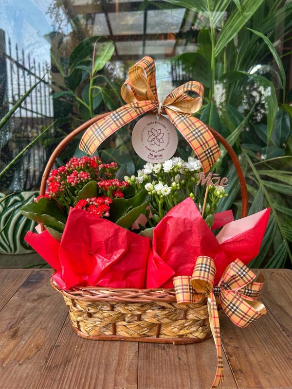 Calandivas - Floricultura Santa Terezinha