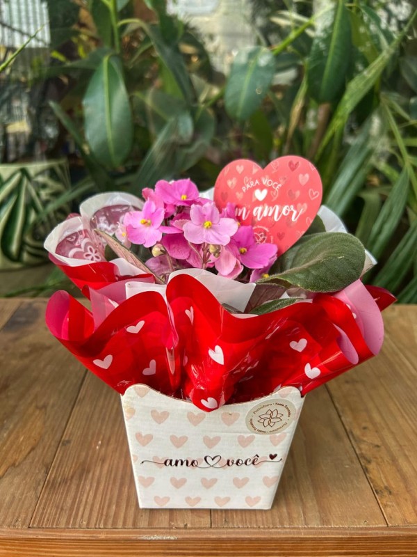 Violeta - Floricultura Santa Terezinha