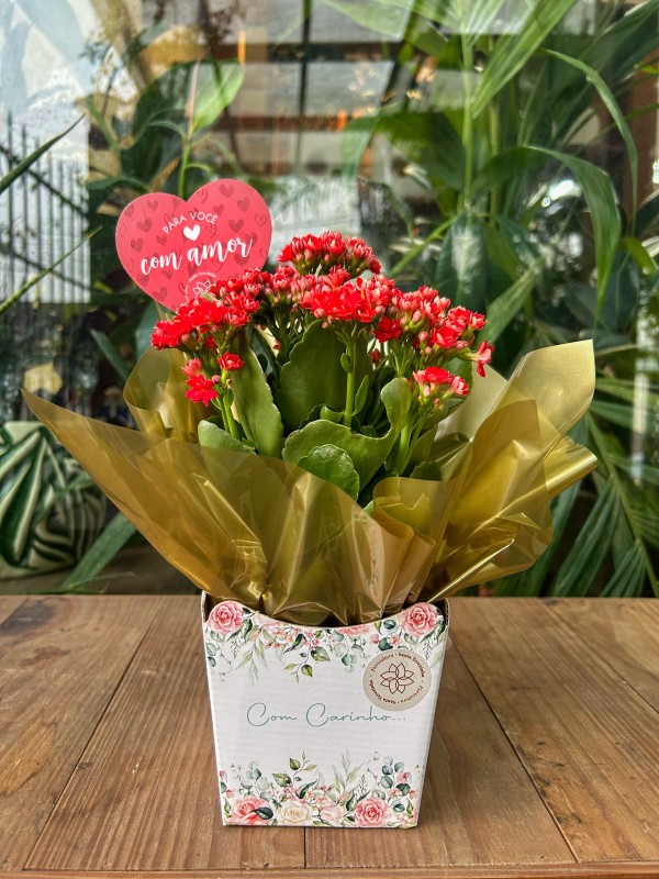 Barra de chocolate branco - Floricultura Santa Terezinha